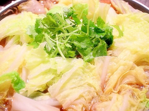 【食物繊維が豊富】白菜シャキシャキ鶏ごぼう鍋